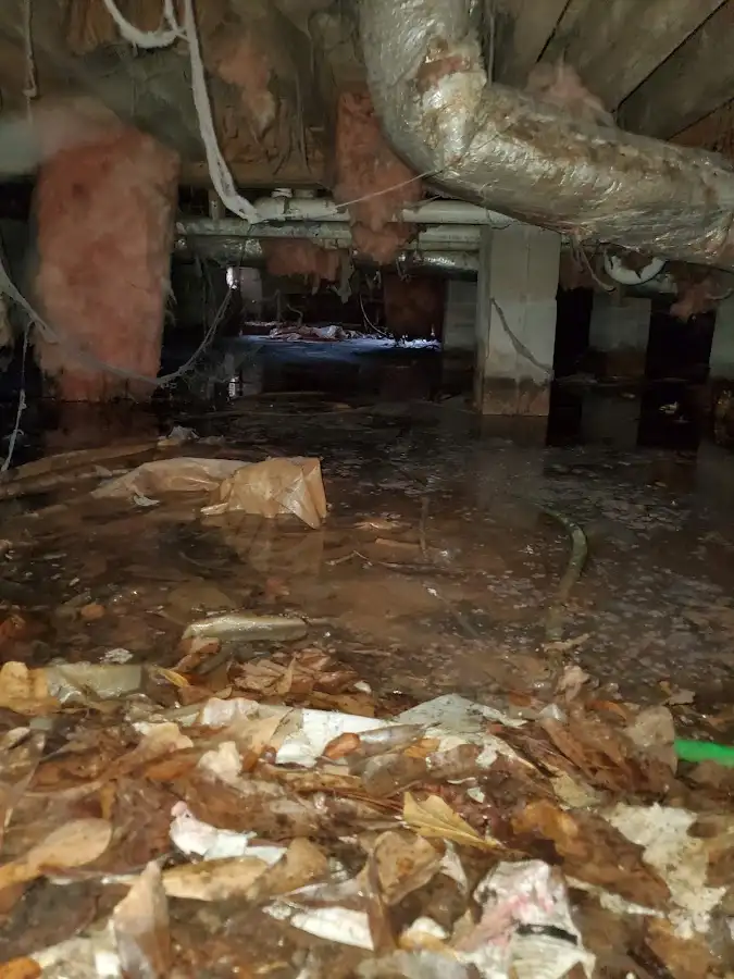 Crawl space flood assessment for Commercial Water Damage Restoration in Hermosa Beach