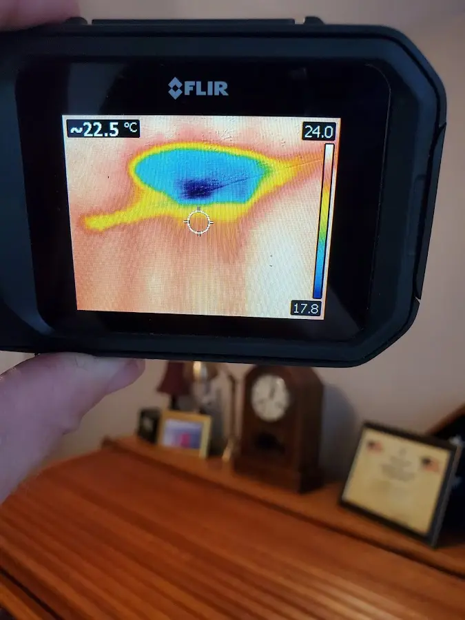 Thermal imaging inspection for water damage in Hermosa Beach